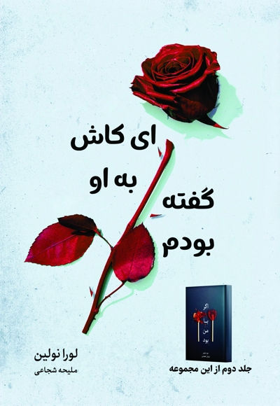 ای کاش به او گفته بودم